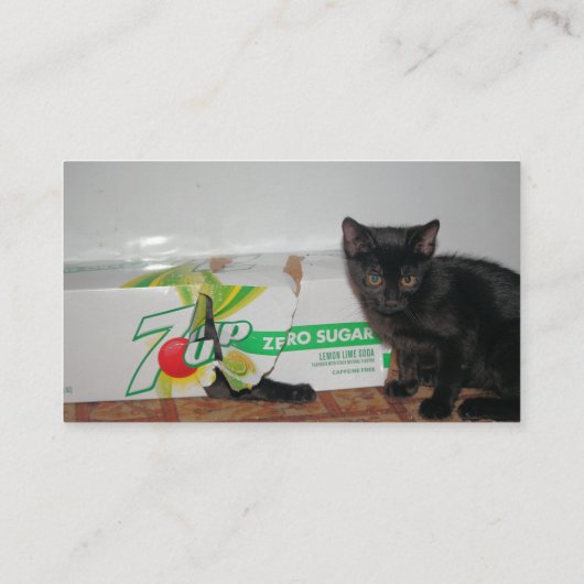 子猫 名刺 (裏面)