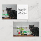 子猫 名刺 (正面/裏面)
