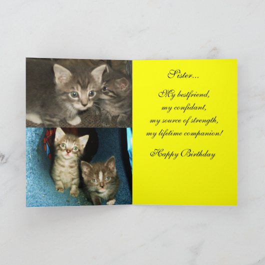 子猫、姉妹誕生日カード カード (内部)