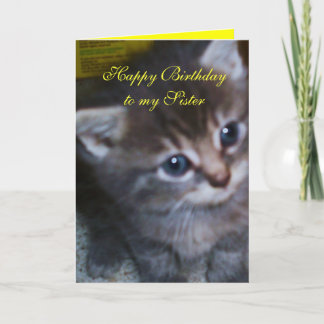 子猫、姉妹誕生日カード カード