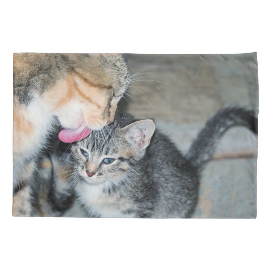 子猫 枕カバー (裏面)