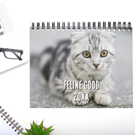 子猫+猫好きフォトコラージュと面白い猫のジョーク カレンダー