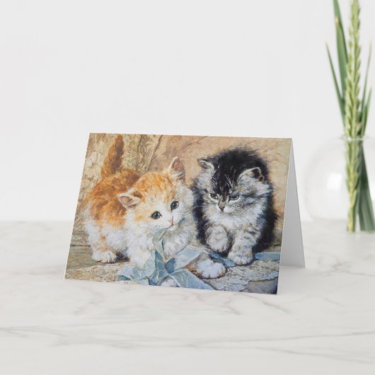 子猫， 1893 カード (正面)