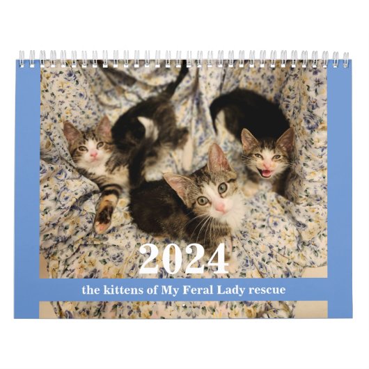 子猫！2024 My Feral Lady kittenカレンダー カレンダー (カバー)