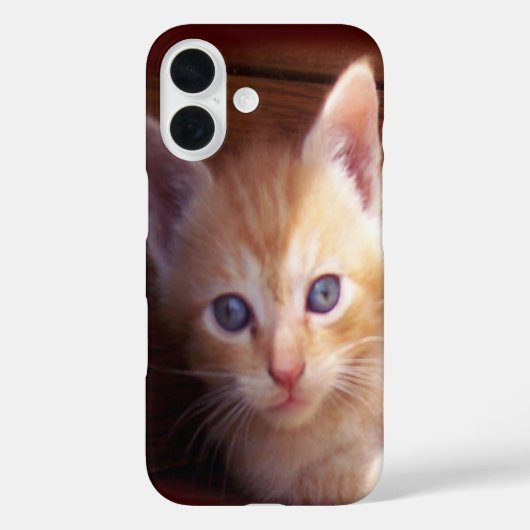 子猫 Case-Mate iPhoneケース (裏面)