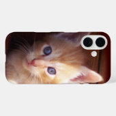 子猫 Case-Mate iPhoneケース (裏面 (横))