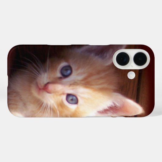 子猫 Case-Mate iPhoneケース (裏面 (横))
