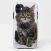 子猫 Case-Mate iPhoneケース (裏面)
