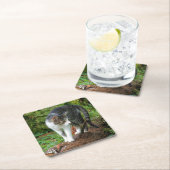 子猫- Cat - Drink Coaster スクエアペーパーコースター (インサイチュ)