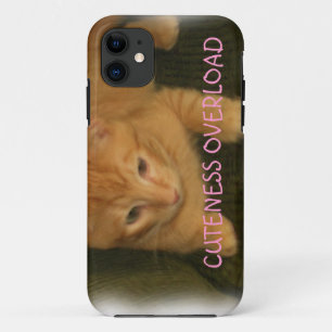 子猫「CUENESS OVERLOAD」 iPhone 5ケース 11 ケース