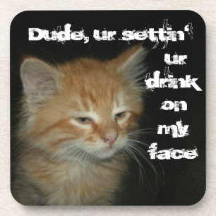 子猫「Dude Settin'Ur Drink On My 顔」コースター コースター