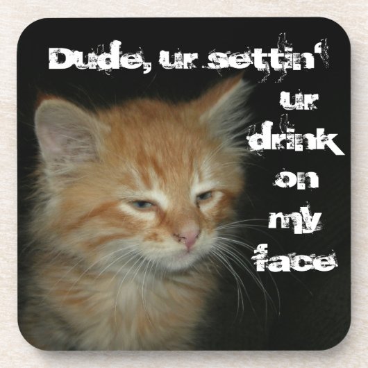 子猫「Dude Settin'Ur Drink On My 顔」コースター コースター (正面)