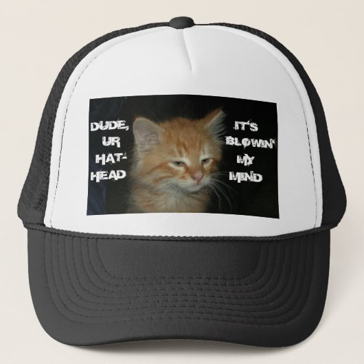 子猫『DUDE UR HAT-HEAD IT'S BLOIN MY MIND』の帽子 キャップ (正面)