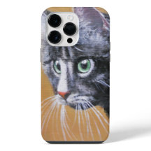 子猫