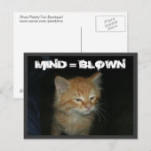 子猫「MIND = 吹」はがき ポストカード (正面/裏面)