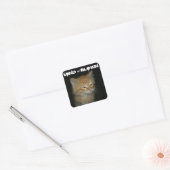 子猫「MIND = 吹」ステッカー – Set 20 スクエアシール (封筒)