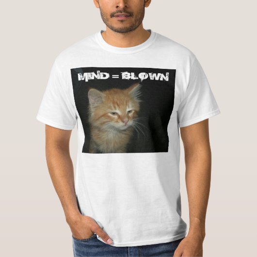 子猫「MIND = 吹」メンス値Tシャツ Tシャツ (正面)