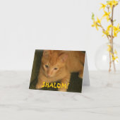 子猫"SHALOM"のユダヤ人の挨拶状 カード (黄色い花)