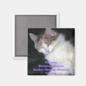 子猫：Sleeping=AngelsAwake=Moving Obstical Co... マグネット (正面/裏面)