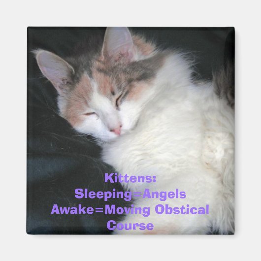 子猫：Sleeping=AngelsAwake=Moving Obstical Co... マグネット (正面)