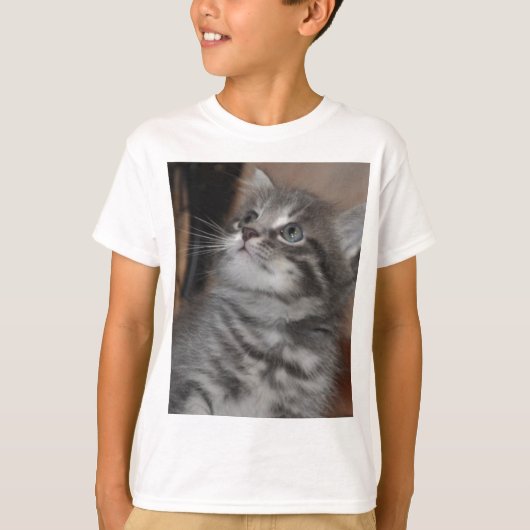 子猫 Tシャツ (正面)