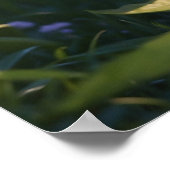 *~*子猫AP68 5:4ネコ猫Ready ポスター (角)