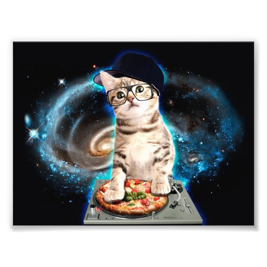 子猫dj cat フォトプリント            (正面)
