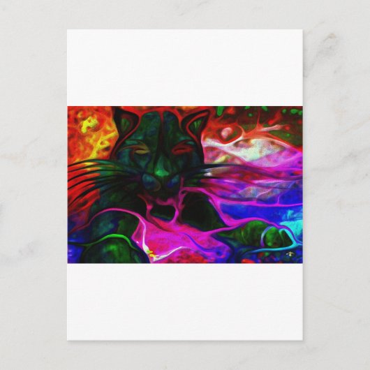 子猫dreams.jpg ポストカード (正面)