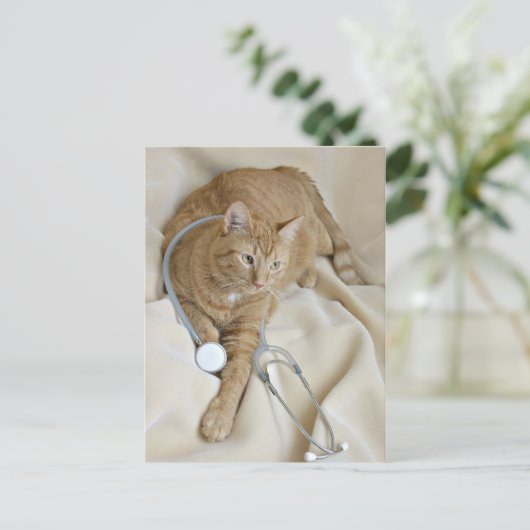 子猫Get Wellはがき ポストカード (スタンド正面)