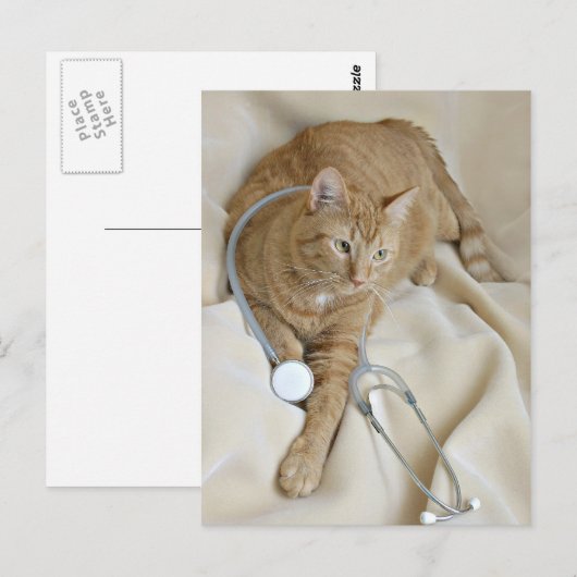 子猫Get Wellはがき ポストカード (正面/裏面)