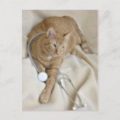 子猫Get Wellはがき ポストカード (正面)