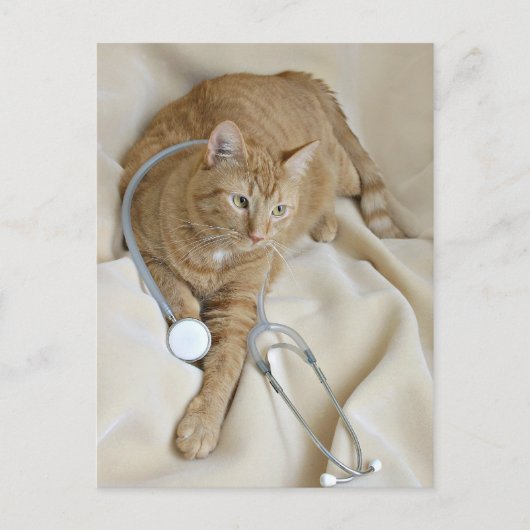 子猫Get Wellはがき ポストカード (正面)