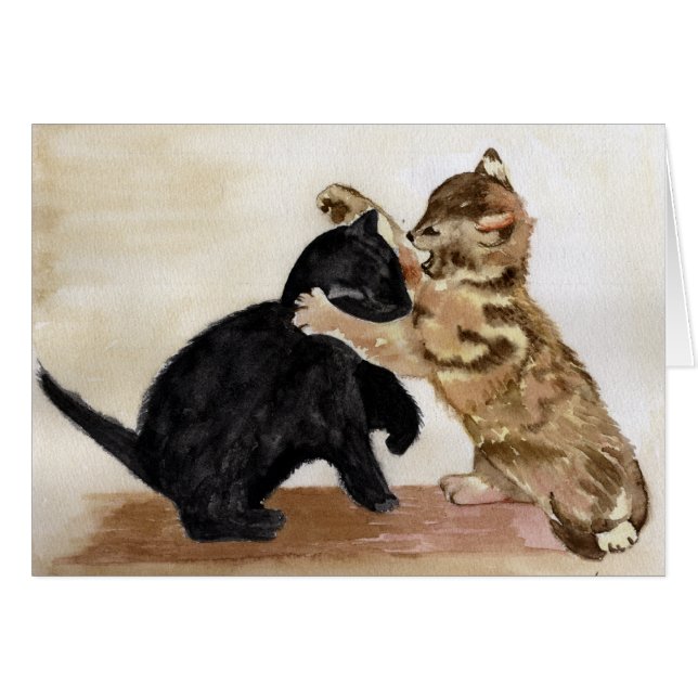 子猫Kats (正面横)