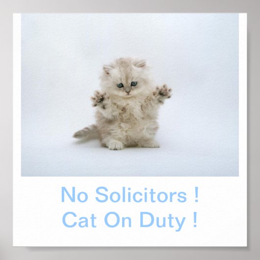 子猫No Solicitors ポスター (正面)
