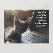 子猫SELFIE HELLO ポストカード (正面)