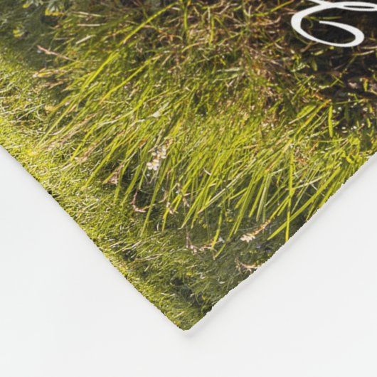 子羊と羊と三色のコリーパーソナライズされた- フリースブランケット (角)