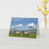 子羊 カード (黄色い花)