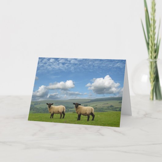 子羊 カード (正面)