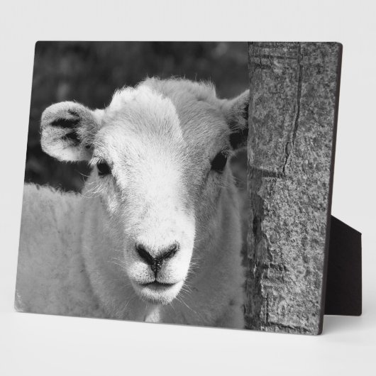 子羊 フォトプラーク (側面)