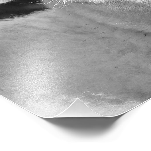 子羊 フォトプリント            (角)