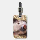 子豚のかわいい子 ラゲッジタグ (正面縦)