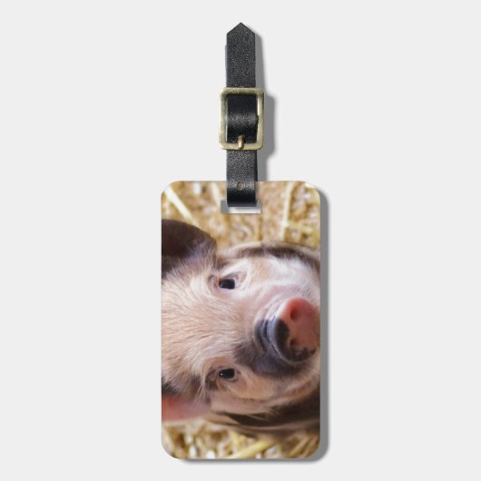 子豚のかわいい子 ラゲッジタグ (正面縦)