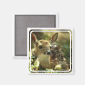 子豚マグネット マグネット (正面/裏面)