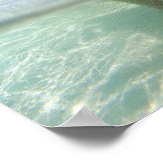 子豚 ポスター (角)