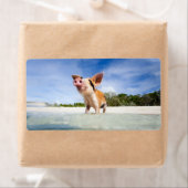 子豚 ラベル (インサイチュ)