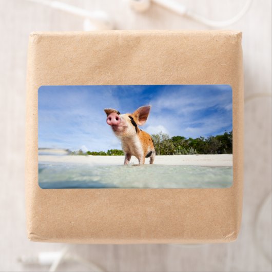 子豚 ラベル (インサイチュ)