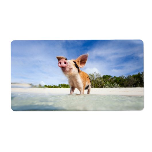 子豚 ラベル (正面)