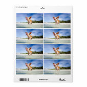 子豚 ラベル (フルシート)