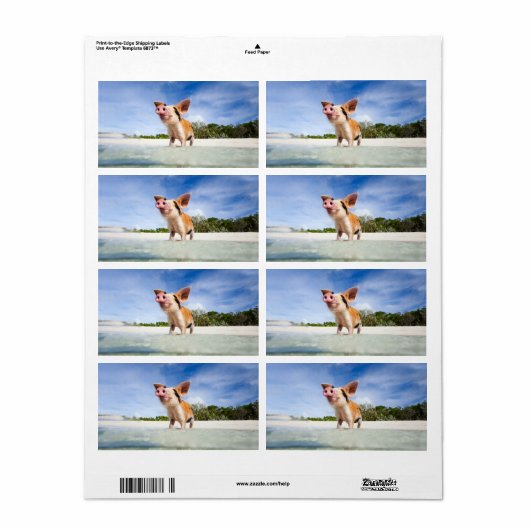 子豚 ラベル (フルシート)