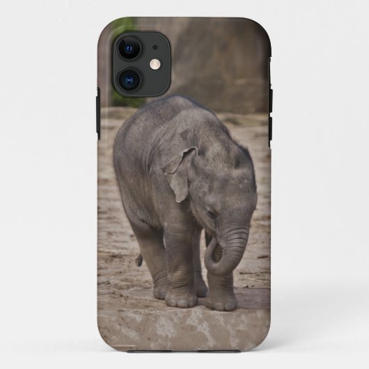 子象のiPhone 5 Case-Mateケース Case-Mate iPhoneケース (裏面)